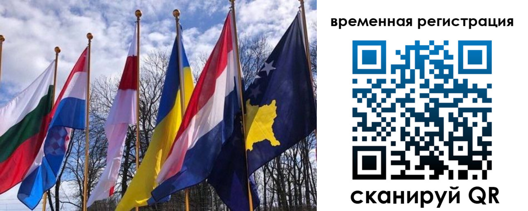 прописка гарантия в Междуреченске